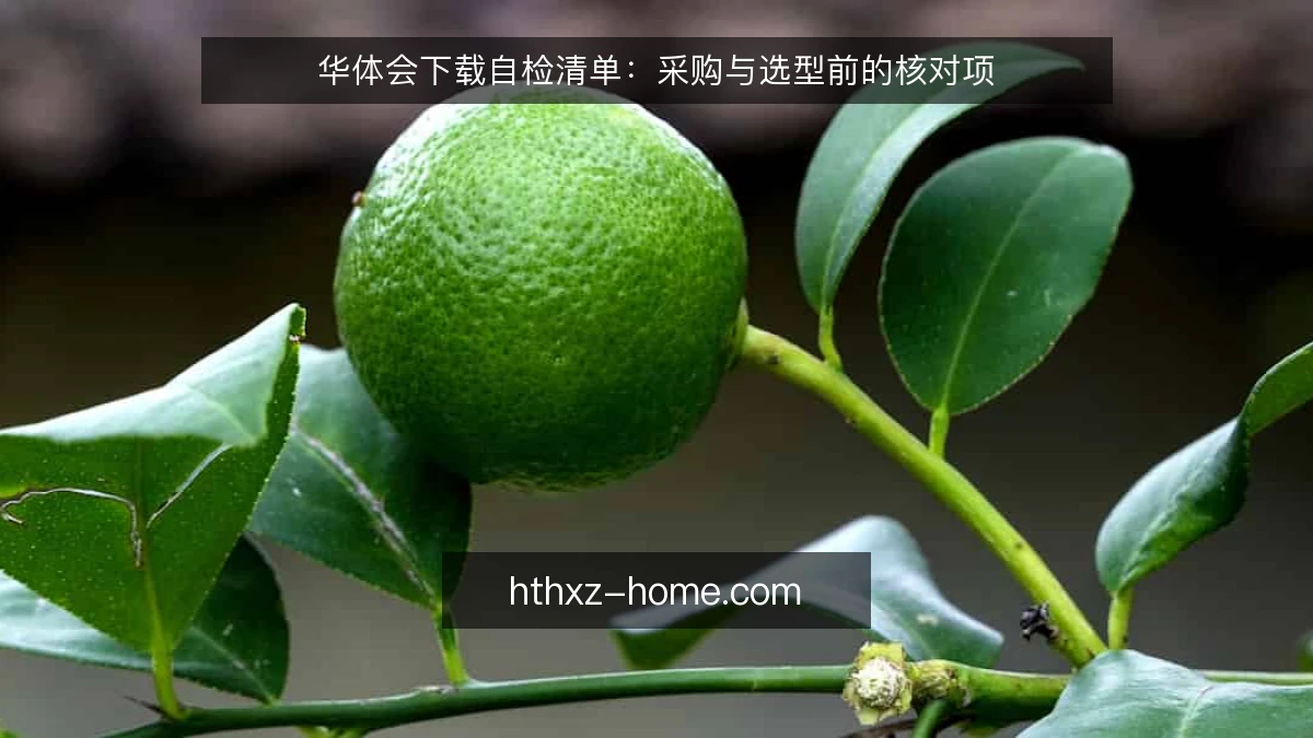 华体会下载自检清单：采购与选型前的核对项